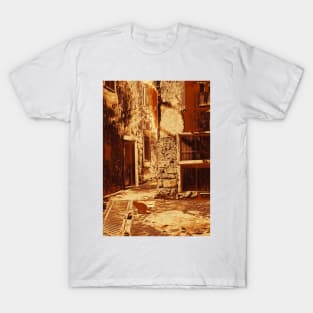 The Ghost Cat of Calascibetta. Sicily 2012 T-Shirt